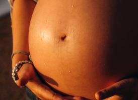 Pauline BARBAUT - BARBAUT PAULINE