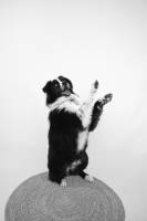 Ludvina LARRAZ - LUDY PHOTOGRAPHY